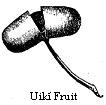 Uikí Fruit.