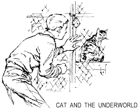 Illustration: Dave looking at Cat locked in cage.