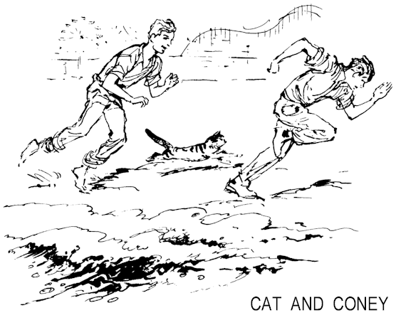Illustration: Dave, Cat, and Nick running on the beach.