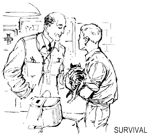 Illustration: Dave talking with veterinarian while holding Cat.