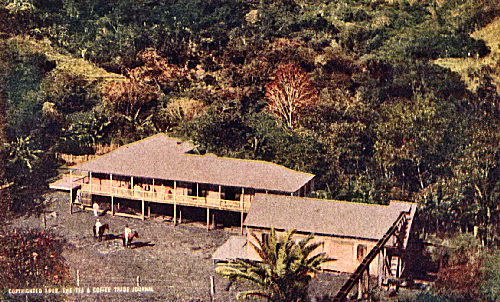 Coffee Estate in the Luquillo Mountains, Porto Rico