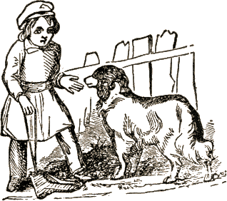 boy and dog