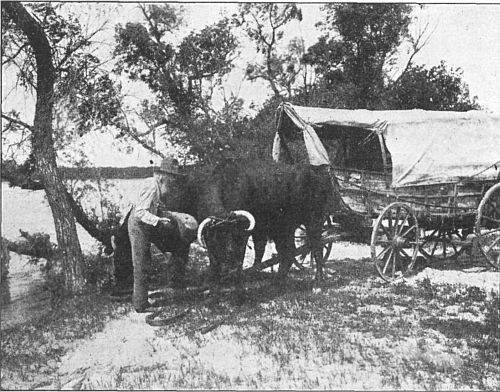 The Project Gutenberg eBook of Ox-team Days on the Oregon Trail, by Ezra  Meeker.