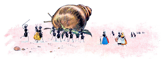 les fourmis fabriqurent une chaise  porteur