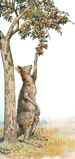 ils dpouillaient les arbres du paradis