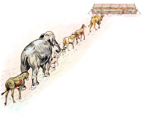 l'arrive des animaux dans l'arche