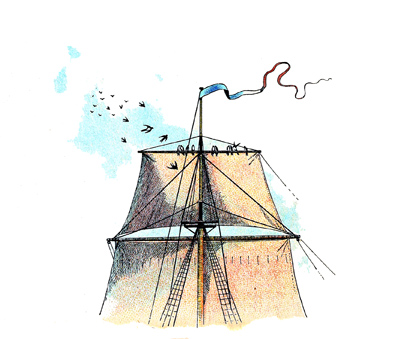 des hirondelles se posrent sur le mt