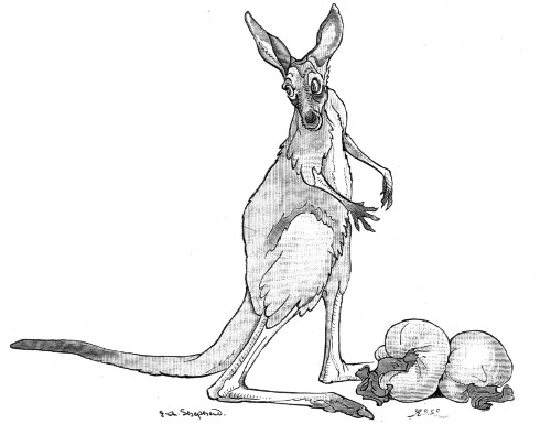 RAW YOUTH&mdash;"YES, WILL I."