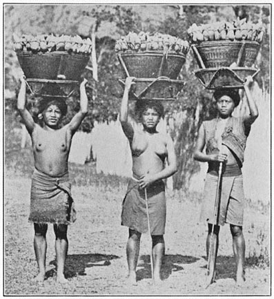 Woman's transportation baskets