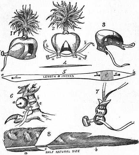 Image of Engraving depicting Geddes' turnip sowing machine. This