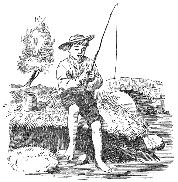 The Project Gutenberg eBook of The Confessions of a Poacher