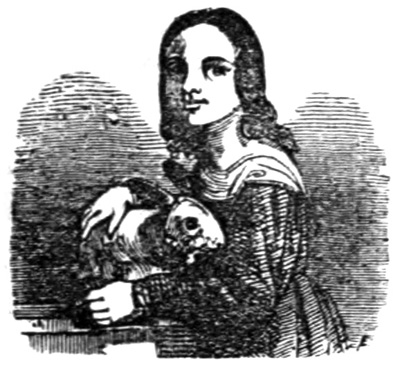 A girl with her rabbit