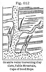 Fig. 612: Granite
veins traversing clay slate, Table Mountain, Cape of Good Hope.