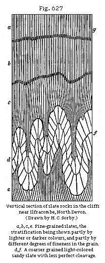 Fig. 627: Vertical section of slate rock in the cliffs near Ilfracombe, North
Devon.