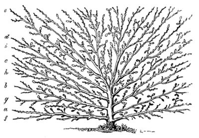 Meuble d'angle bas Alpinia imitation chêne clair l.120 x h.72 x p.57