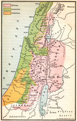 Division after Resettlement