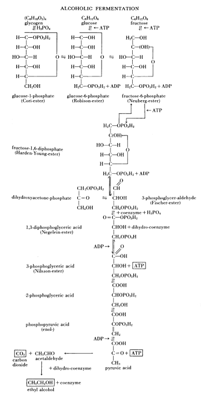 Figure 13.