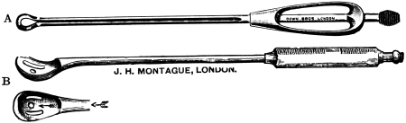 a, Murray&rsquo;s Flushing Curette; b, Blunt Curette.