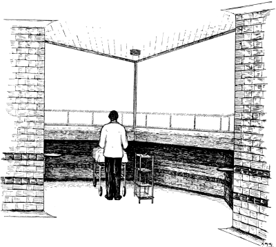 Window of the Operating Theatre, King&rsquo;s College Hospital