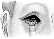 Maxwell&rsquo;s Operation