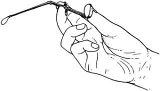 Wilde&rsquo;s Aural Snare