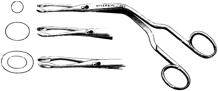 Luc&rsquo;s Nasal Forceps