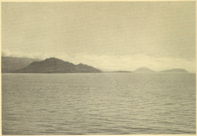 AFTER SEVEN DAYS OF SEA&mdash;THIS EMERGED