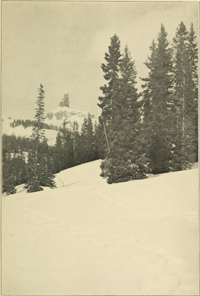 LIZARD HEAD PEAK IN THE SAN JUAN MOUNTAINS