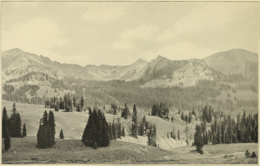 A MOUNTAIN PARK IN THE SAN JUAN MOUNTAINS