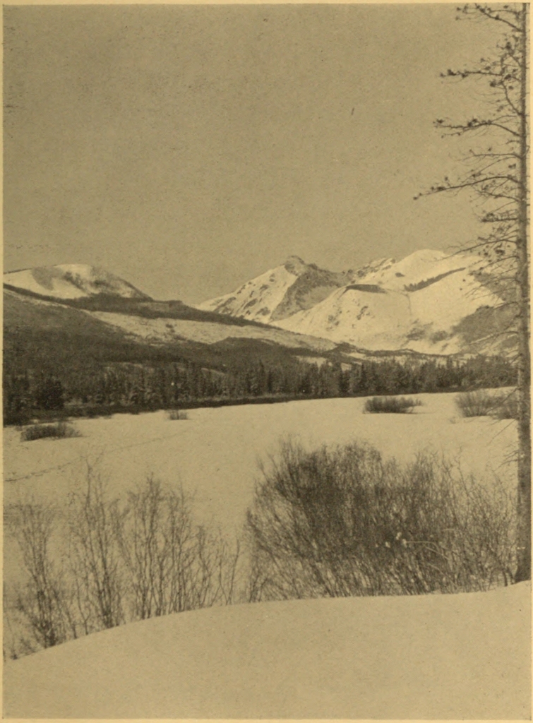 ON GRAND RIVER, MIDDLE PARK, IN WINTER