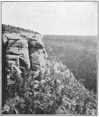 Fig. 1.&mdash;View down Navaho Canyon.
