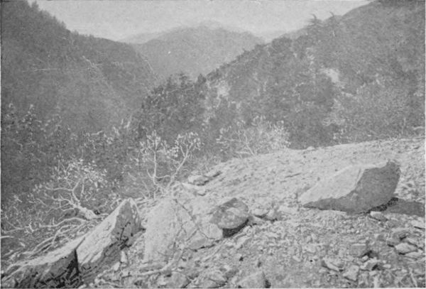 View from Artists' Point, Head of Grand Canyon.