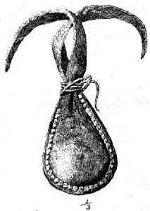 Fig.
433.—Bag containing hoddentin.