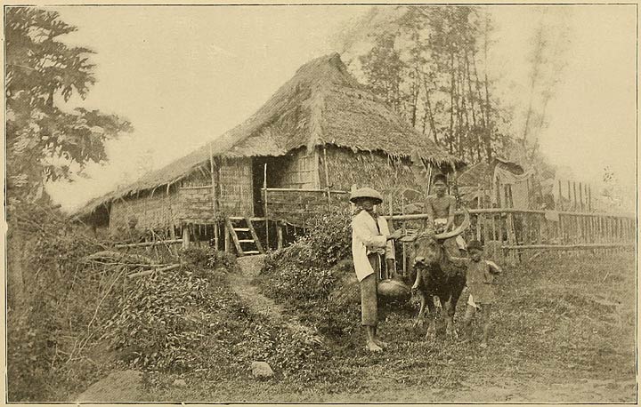 A Betel-nut Gatherer of Luzon.