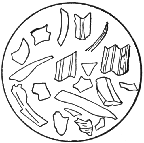 Fig. 4. Volcanic Dust as it
Appears Under the Microscope