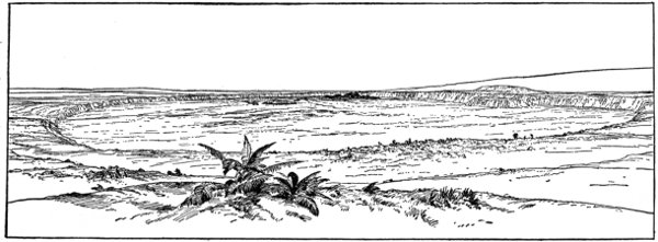 Fig. 8. View of the Crater of Kilauea from the
Volcano House