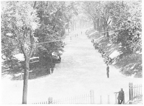 BOSTON COMMON

(Beacon Street Mall)