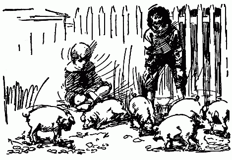 Two boys playing with pigs