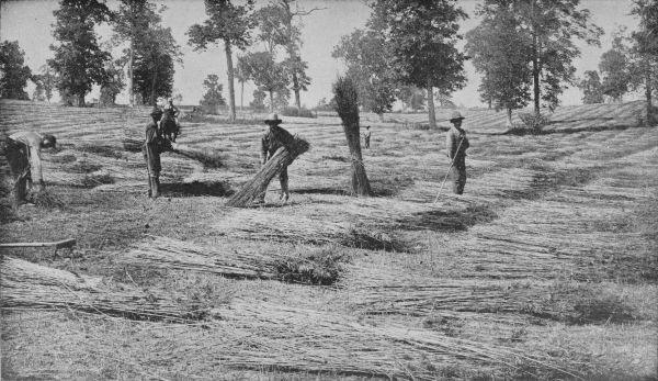 Spreading Hemp in Kentucky