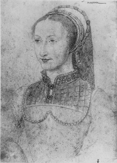 Plate IX.

Photo. Giraudon.

JEANNE D’ALBRET, QUEEN OF NAVARRE.

François Clouet.

Musée Condé.

To face page 21.