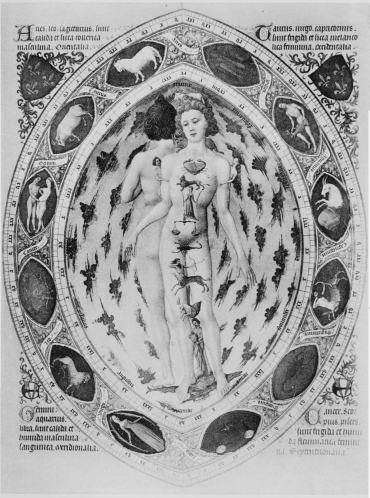 Plate XXXVI.

Photo. Giraudon.

THE ZODIAC.

Pol de Limbourg and his Brothers.

From The “Très Riches Heures du Duc de Berry.”

To face page 172.