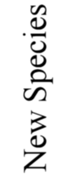 New
      Species