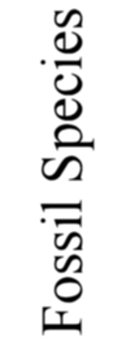 Fossil
      Species