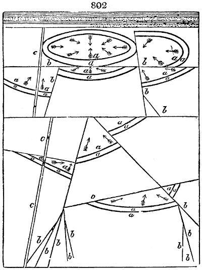 Coal-basin