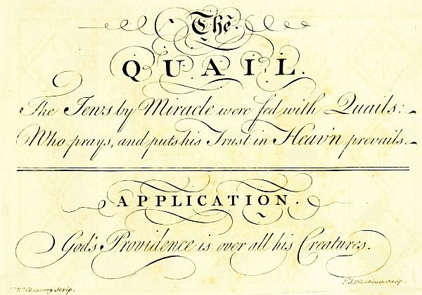 Quail poem and motto