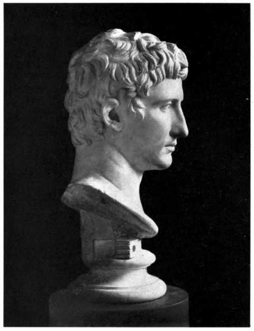 AUGUSTUS.