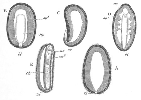 Illustration: Figure 2