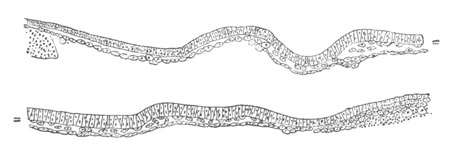 Illustration: Figure 92