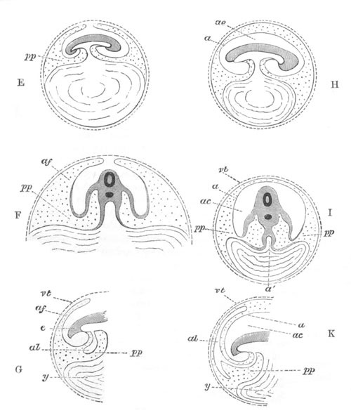 Illustration: Figure 121a