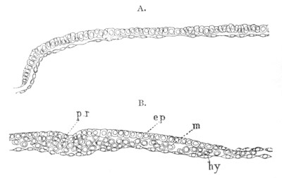 Illustration: Figure 138